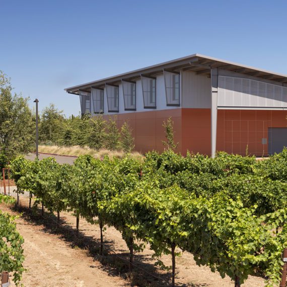 Jess S. Jackson Sustainable Winery Building | Photos by Jasper Sanidad