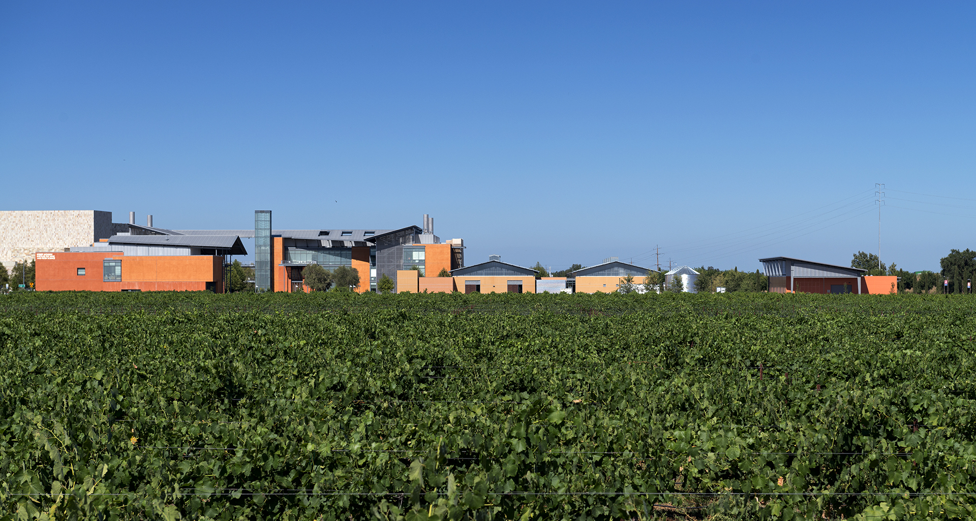 Jess S. Jackson Sustainable Winery Building | Photos by Jasper Sanidad