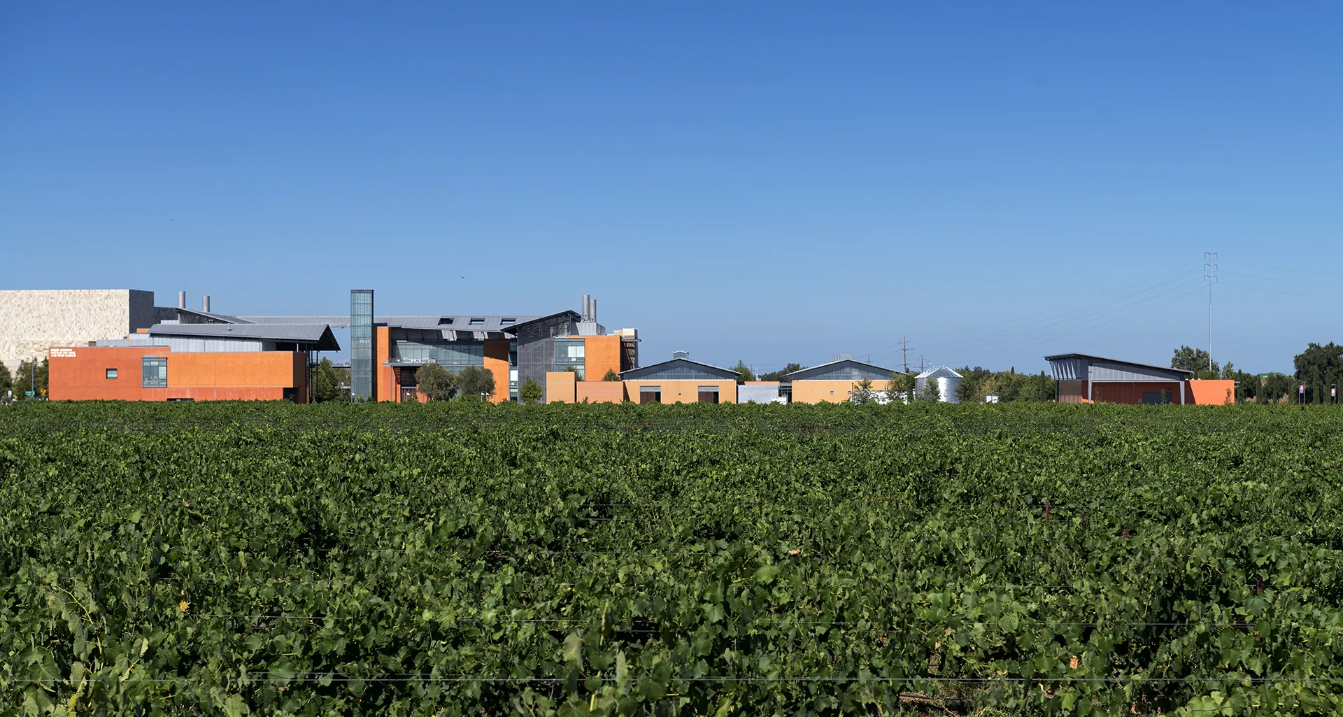 Jess Jackson Sustainable Winery Building, UC Davis, California - view 5