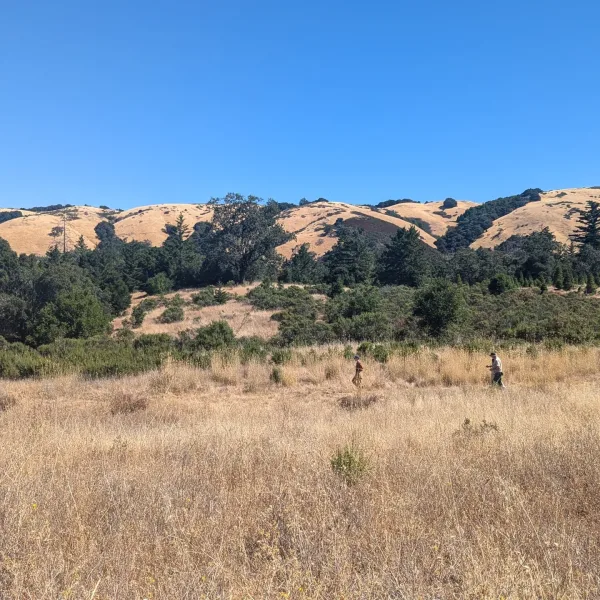 Midpen Skyline Field Office Rebuild, Palo Alto, California