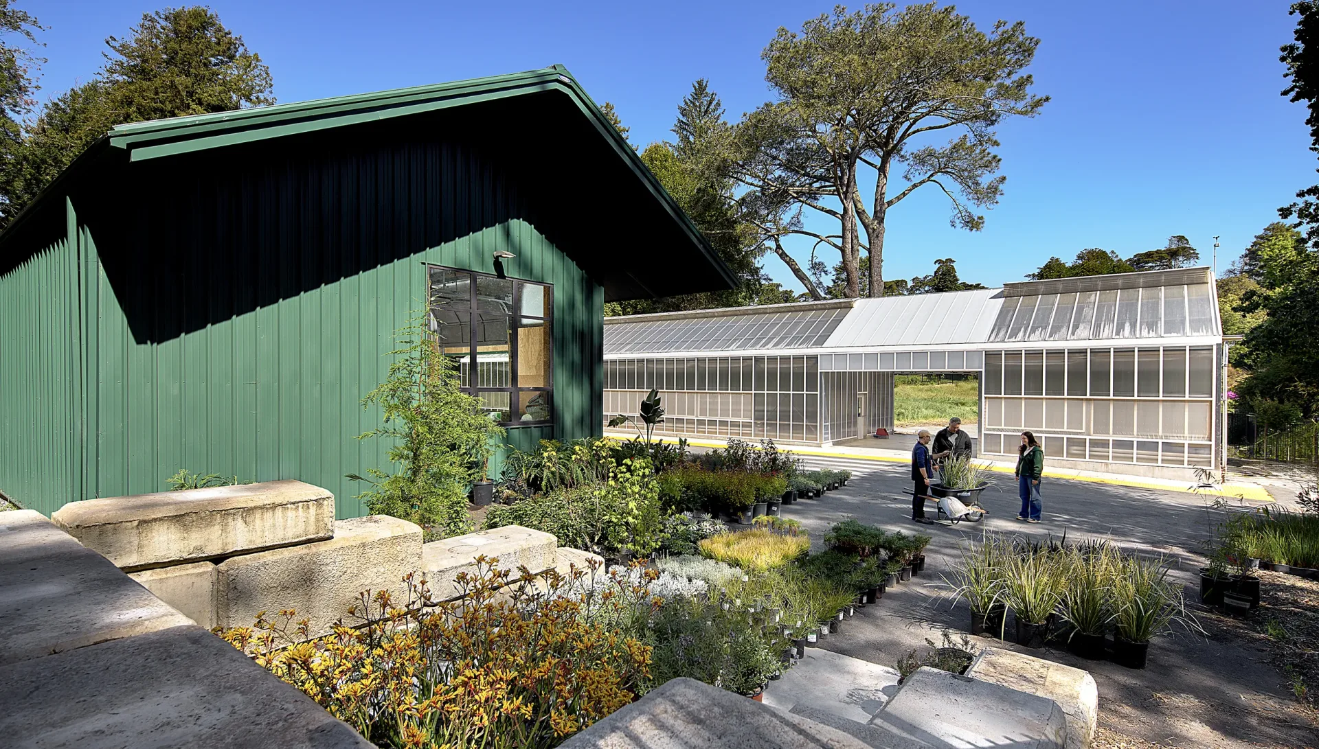 San Francisco Botanical Garden Nursery & Maintenance Facility, Golden Gate Park, San Francisco, California - view 5
