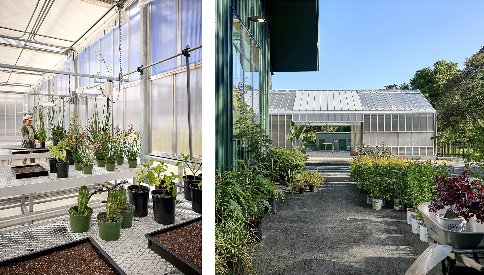 San Francisco Botanical Garden Nursery & Maintenance Facility, Golden Gate Park, San Francisco, California - view 2